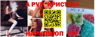 эйфоретик Кингисепп