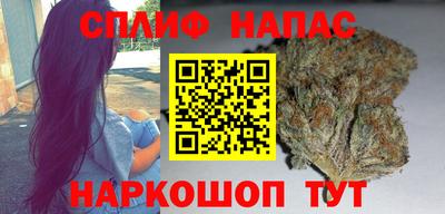 эйфоретик Кингисепп