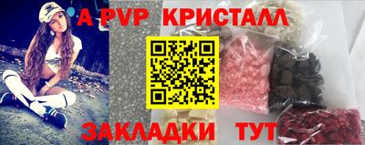 эйфоретик Кингисепп