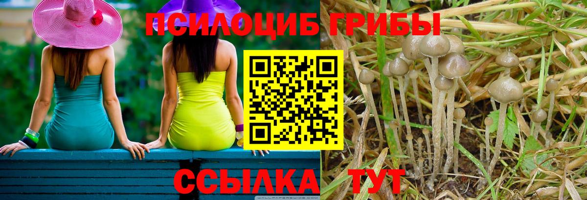 Корсаков  Галлюциногенные грибы GOLDEN TEACHER  Вход с VPN 